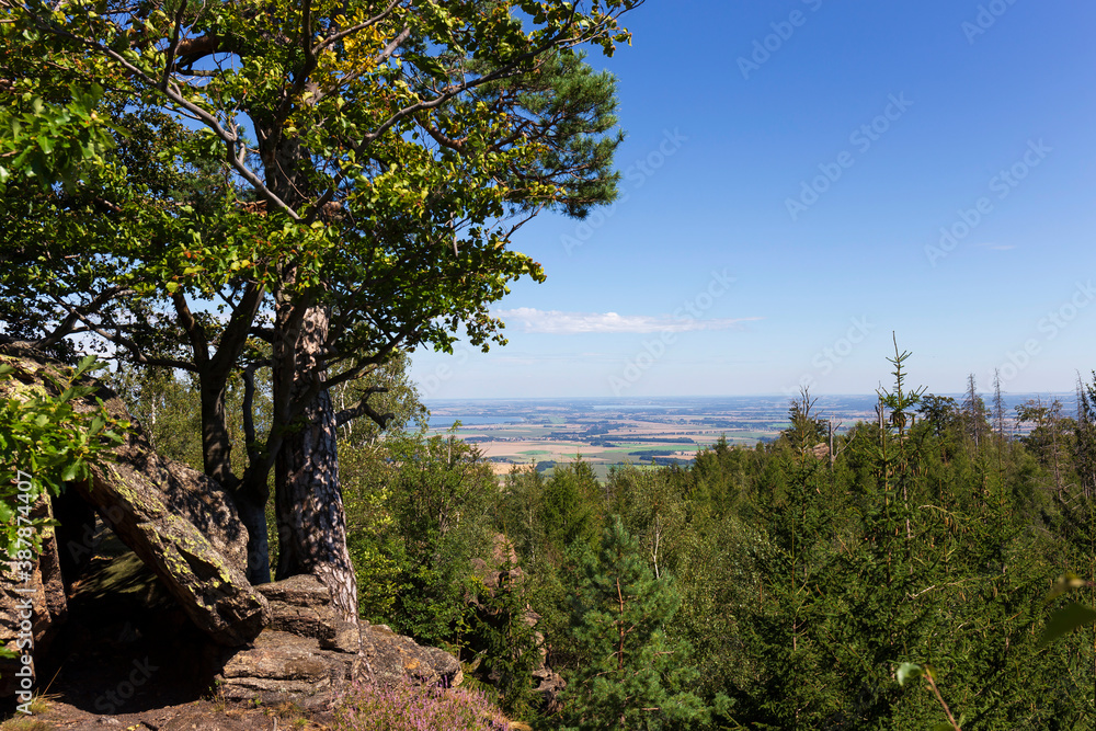 Landscape from the Hill High Rock, Vysoky Kamen, in Rychlebske Mountains, Czech Republic