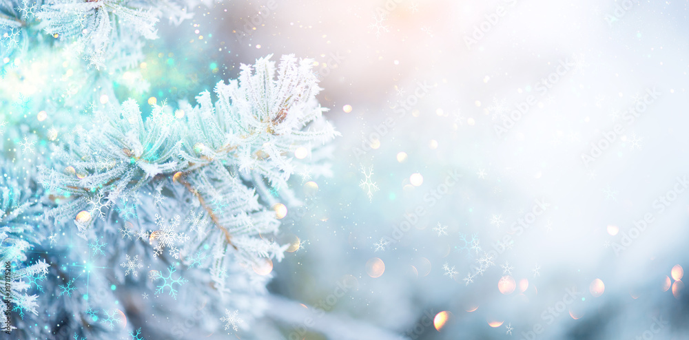 Christmas winter blurred background. Xmas tree with snow, holiday background. New year Winter art design, wide screen holiday border - obrazy, fototapety, plakaty 