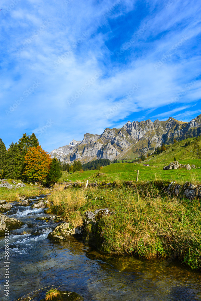 Fototapeta premium Herbst im Wandergebiet Lutertannen im Kanton St. Gallen, Schweiz