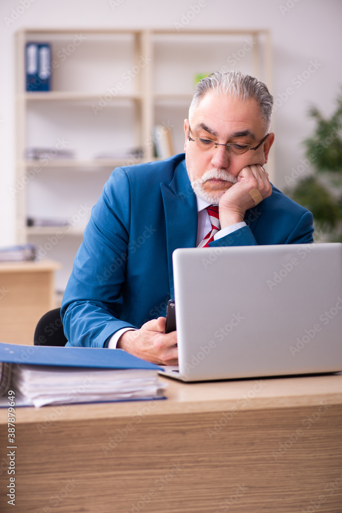 Old male employee working in the office Old male employee working in the office