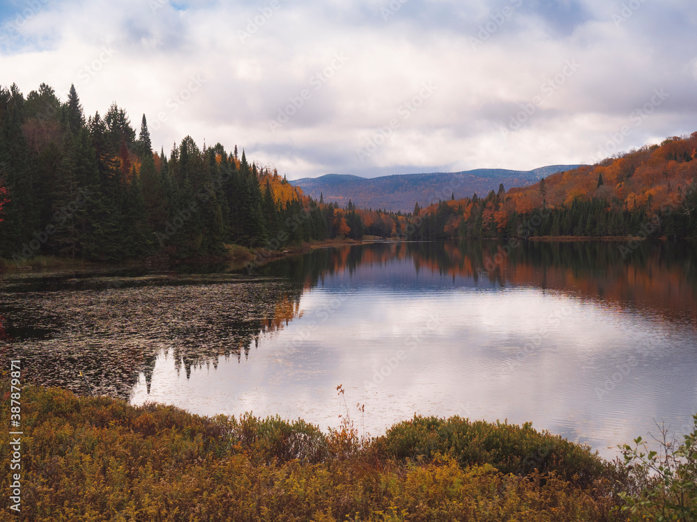 Fototapeta premium autumn