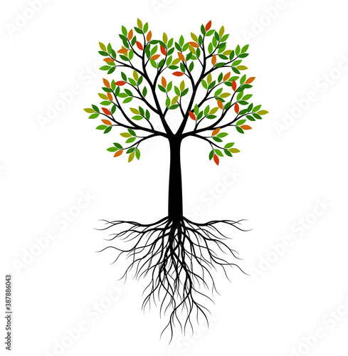 Shape of Tree with leaves and roots. Vector outline Illustration. Plant in Garden.