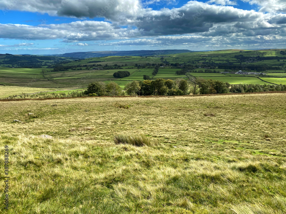 Landscape view, with fields, trees, and hills in the far distance near, Halton East, Skipton, UK