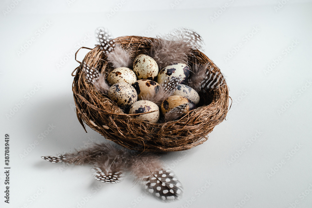 Obraz premium Happy Easter postcard. Easter eggs with ribbons in the nest.