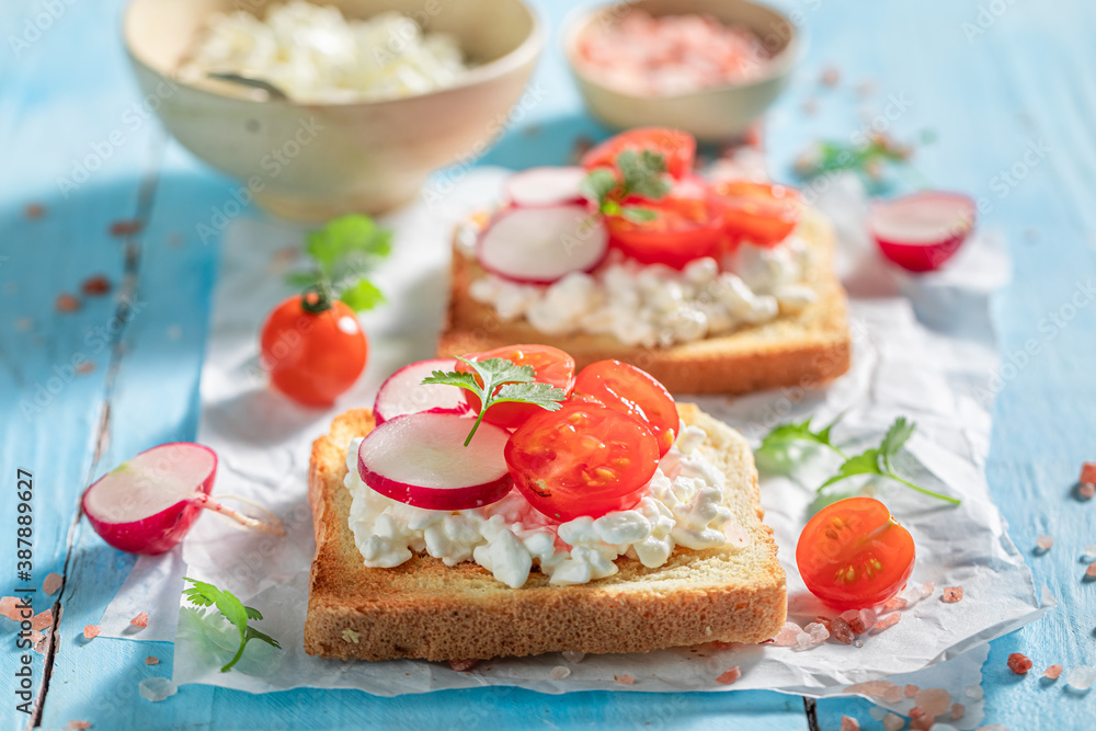 Healthy Toast with cottage cheese, radish and cherry tomato