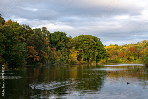 Wallpaper Mural Hudson River in upstate New York in autumn colors. Vibrant colorful trees along the riverbank and some ducks swimming in the water Torontodigital.ca