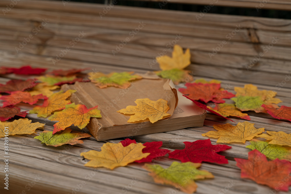 Obraz premium Old and classic book on a wooden bench covered by fallen colored tree leaves on an autumn day