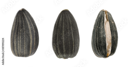 Set of sunflower seeds on white background. Banner design