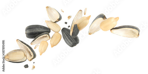 Sunflower seeds with hull flying on white background. Banner design