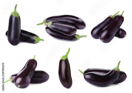Set of fresh eggplants on white background