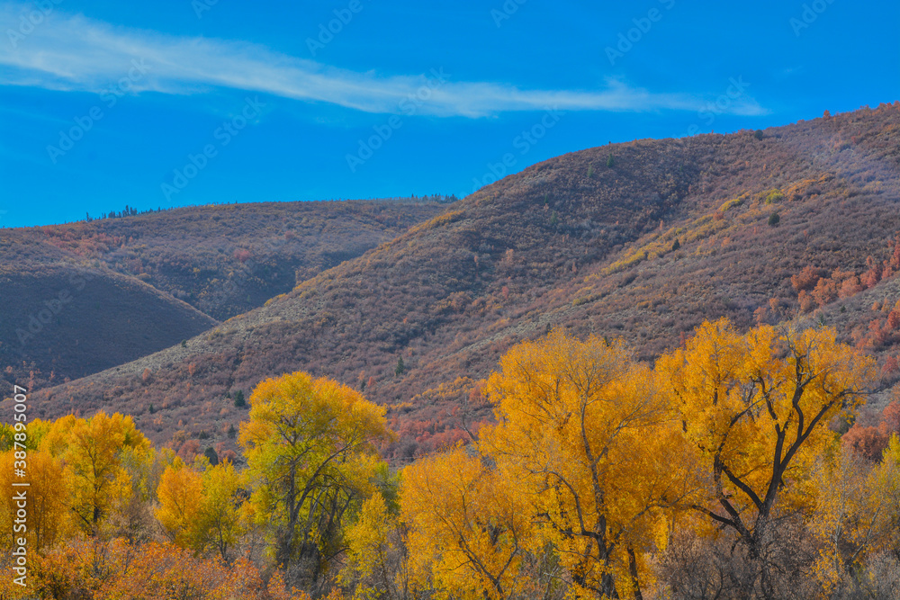 Beautiful colors of the Autumn leaves in the Mountain Range of Henefer, Utah
