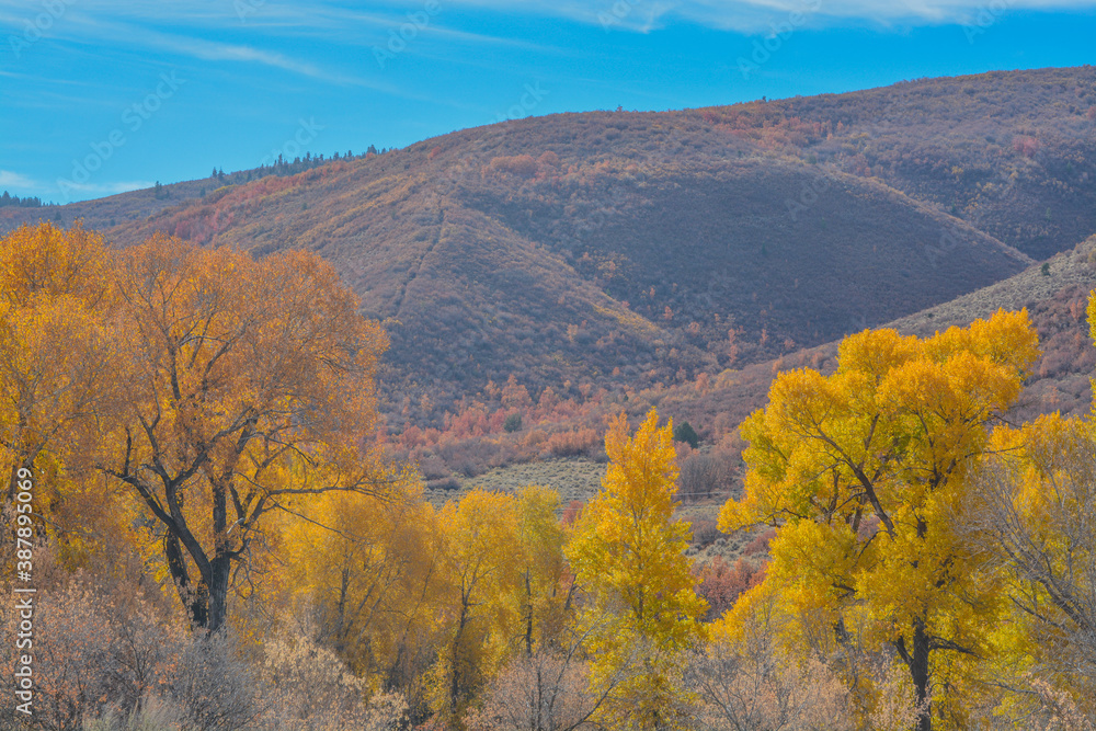 Beautiful colors of the Autumn leaves in the Mountain Range of Henefer, Utah