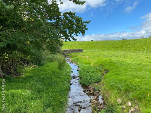 Stream, running down the edge of a field, with trees overhanging near, Addingham, Ilkley, UK