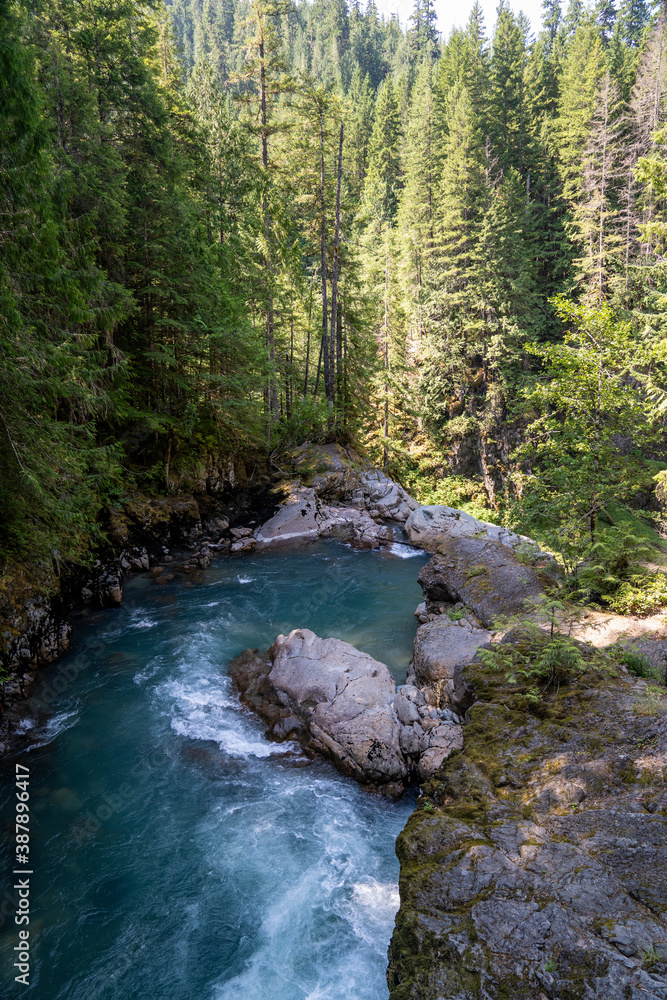 Fototapeta premium The North Fork Nooksack River in the Mt. Baker-Snoqualmie National Forest