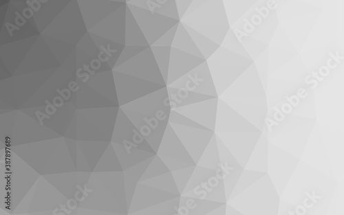Fototapeta Naklejka Na Ścianę i Meble -  Light Silver, Gray vector polygon abstract layout.
