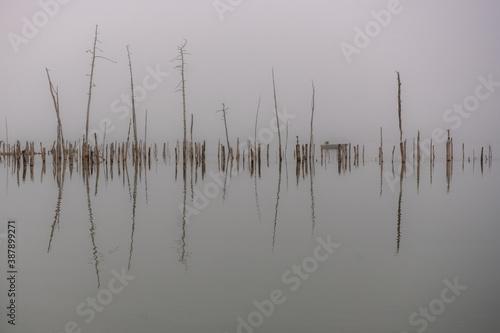 Foggy Gray Reflection
