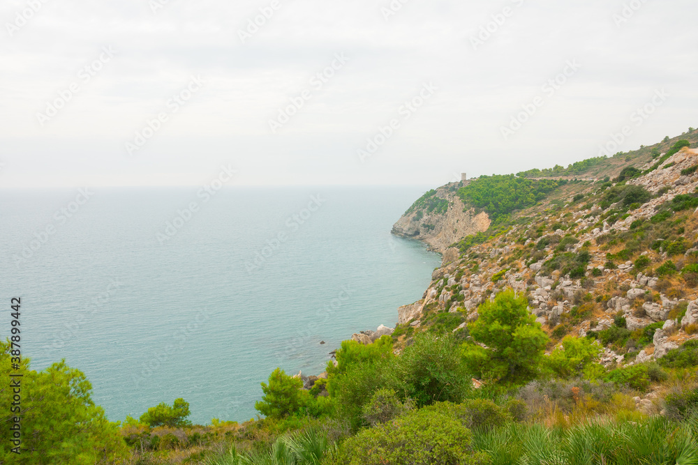 Beautiful and peaceful nature near the sea. Wild pine tree forest over water and cliffs. Perfect desktop background. Profesionnal landscape photography