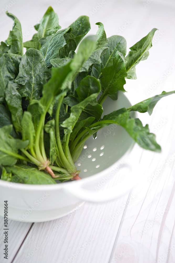 spinach in colander spinach in colander