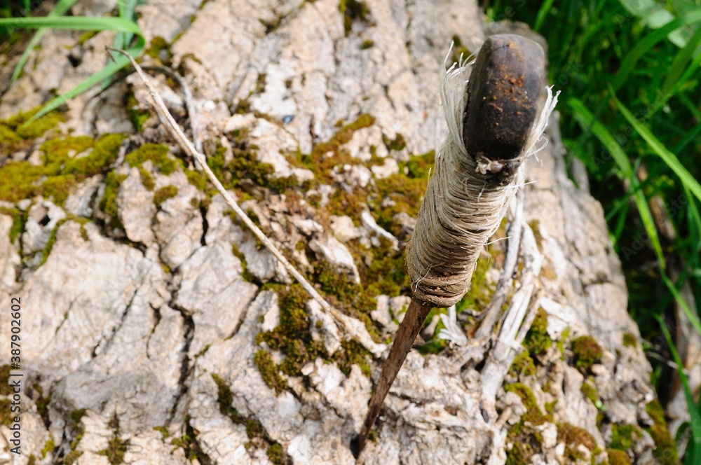 rusty metallic knife stuck on a tree, environmental issue rusty metallic knife stuck on a tree, environmental issue