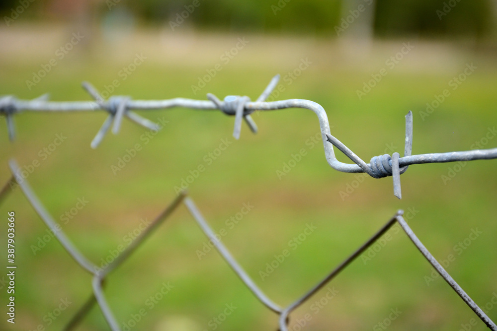 wire fence in the field wire fence in the field