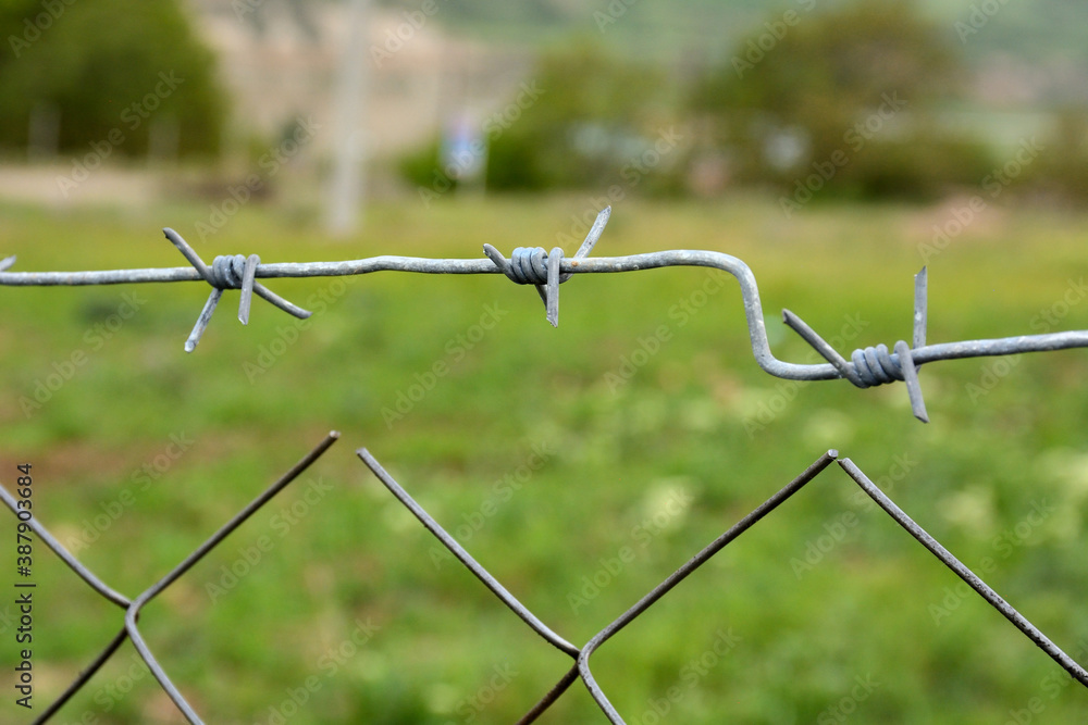 wire fence in the field