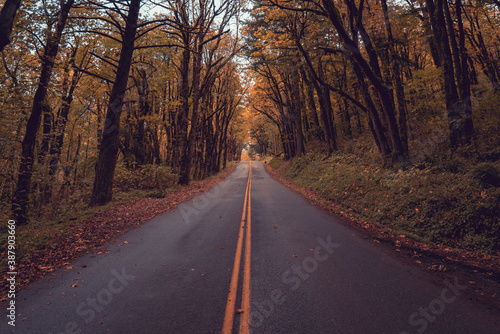 scenic road through autumn forest, Columbia River Gorge, Oregon