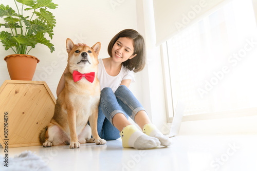 Beautiful young asian woman working on the floor in living room at home with her Shiba Inu Japanese dog, Cheerful and nice couple with people and pet © bigy9950