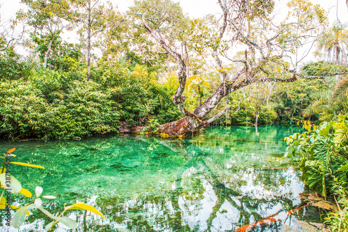 Nascente Azul no rio Sucuri em Bonito - MS