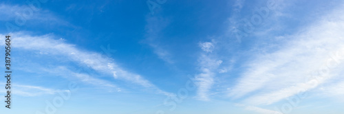 Translucent cirrus cloud stripes float slowly high in a bright blue sky on a sunny day. Panoramic skyscape shot. Weather, meteorology and types of clouds.