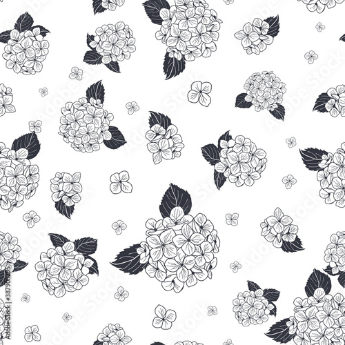 seamless pattern hand drawn black and white round bouquet hydrangea flowers with leaves design