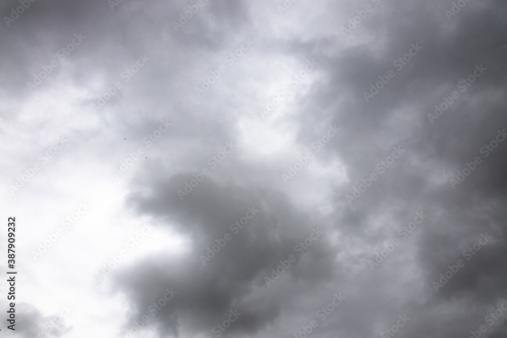black and white storm clouds background. Light in the Dark and Dramatic Storm Clouds background, Dark clouds before a thunder-storm. black and white storm clouds background. Light in the Dark and Dramatic Storm Clouds background, Dark clouds before a thunder-storm.