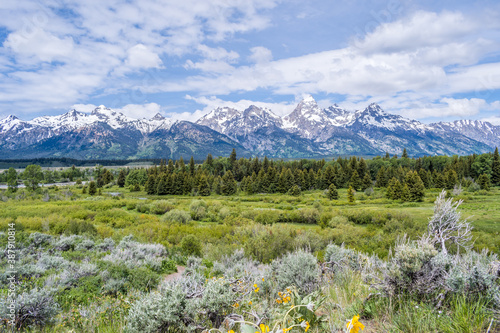 An overlooking view of Grand Tetons NP, Wyoming © CheriAlguire