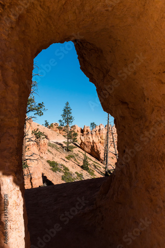 Framed View of Hoodoos on The Queens Garden Trail, Bryce Canyon National Park, Utah, USA