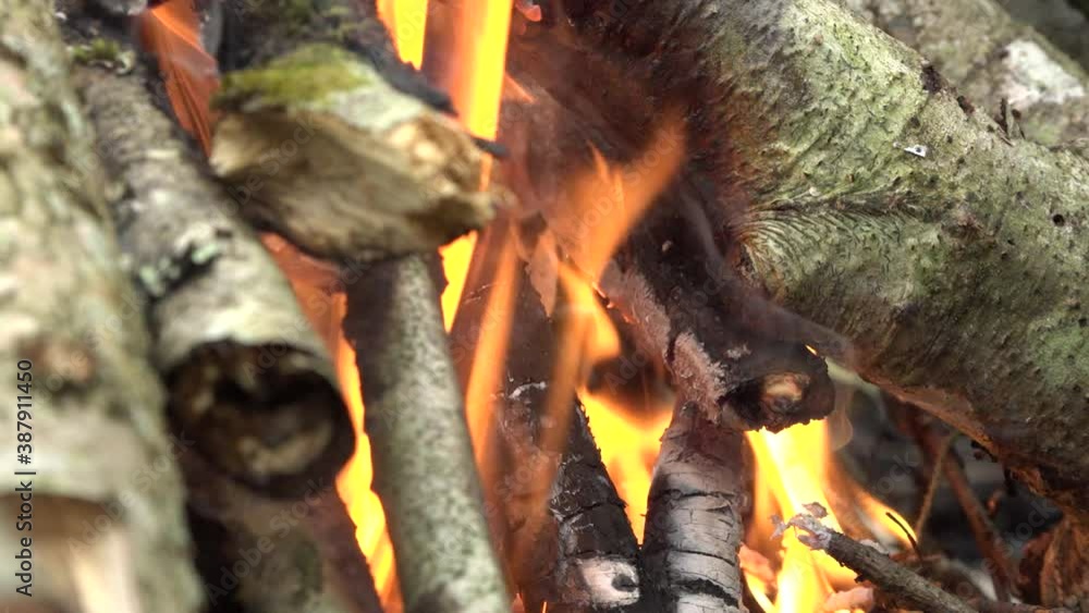 During the hike, a bonfire in nature During the hike, a bonfire in nature
