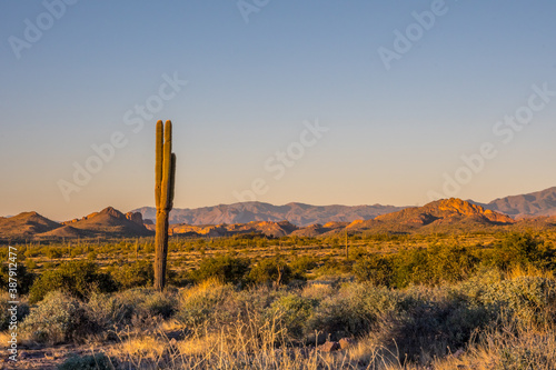 An overlooking view of Lost Dutchman SP, Arizona