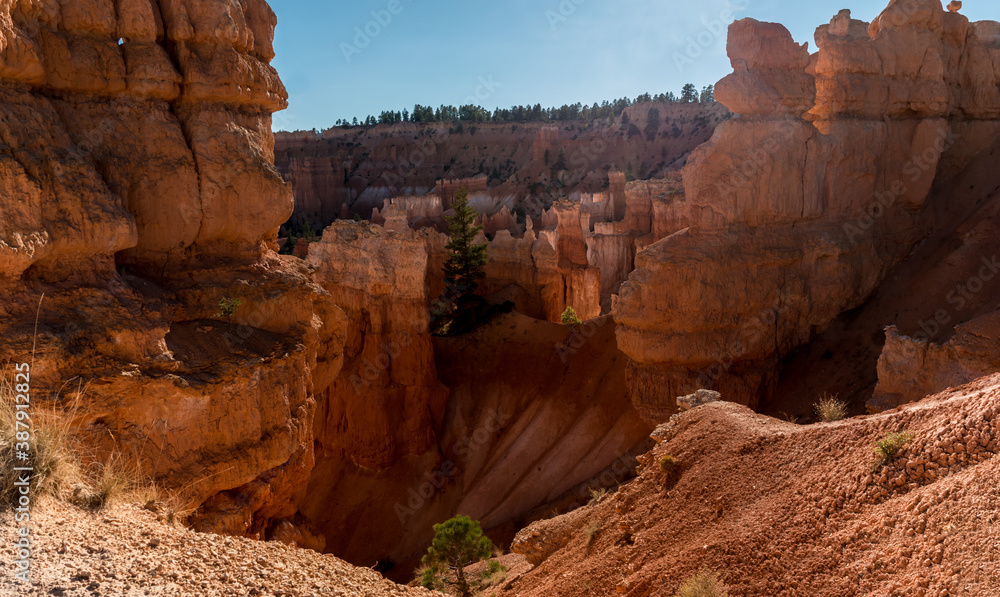 Hoodoos on The Queens Garden Trail, Bryce Canyon National Park, Utah, USA Hoodoos on The Queens Garden Trail, Bryce Canyon National Park, Utah, USA