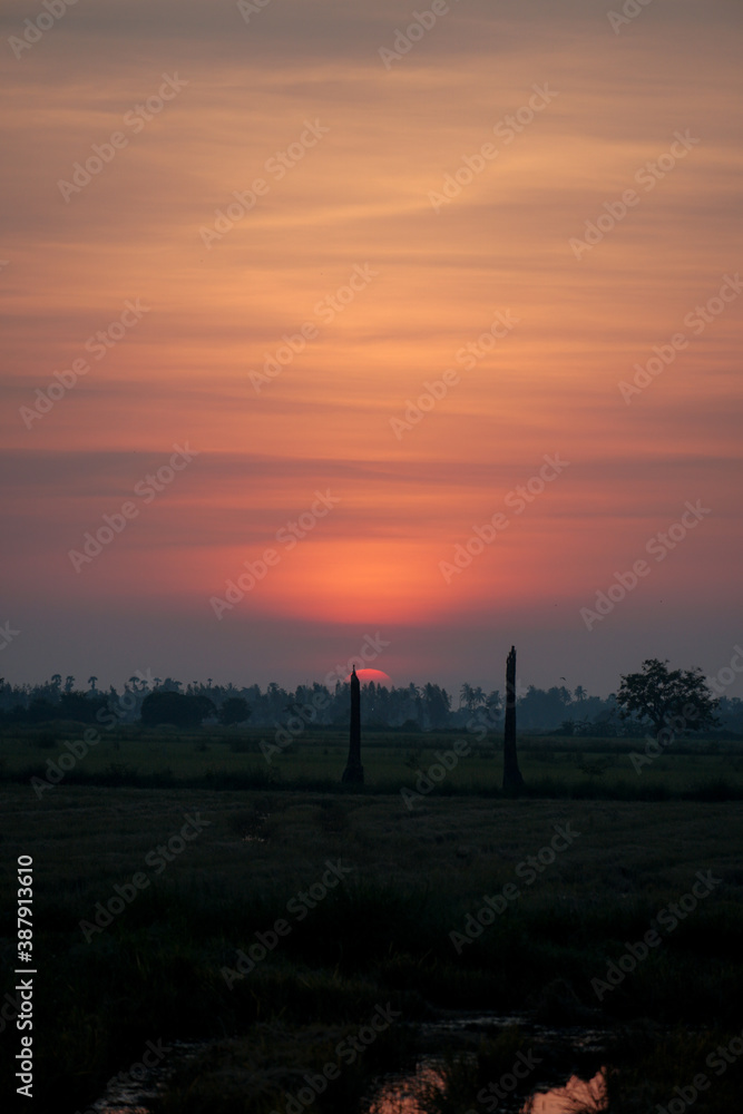 Sunset sky at a local Thai paddy field 