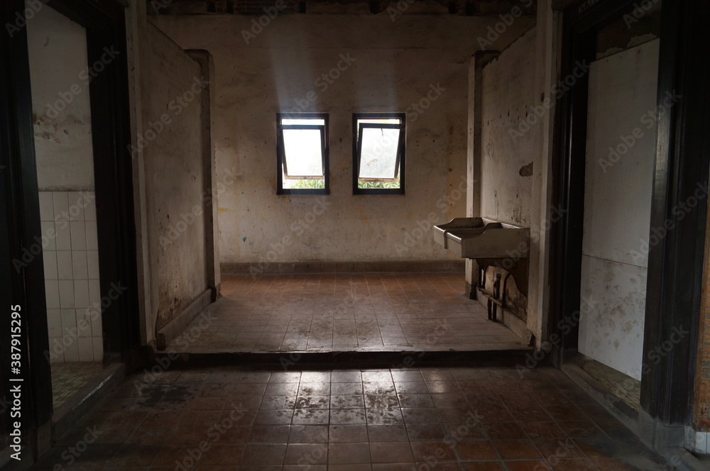 horror and gripping toilets in an old building