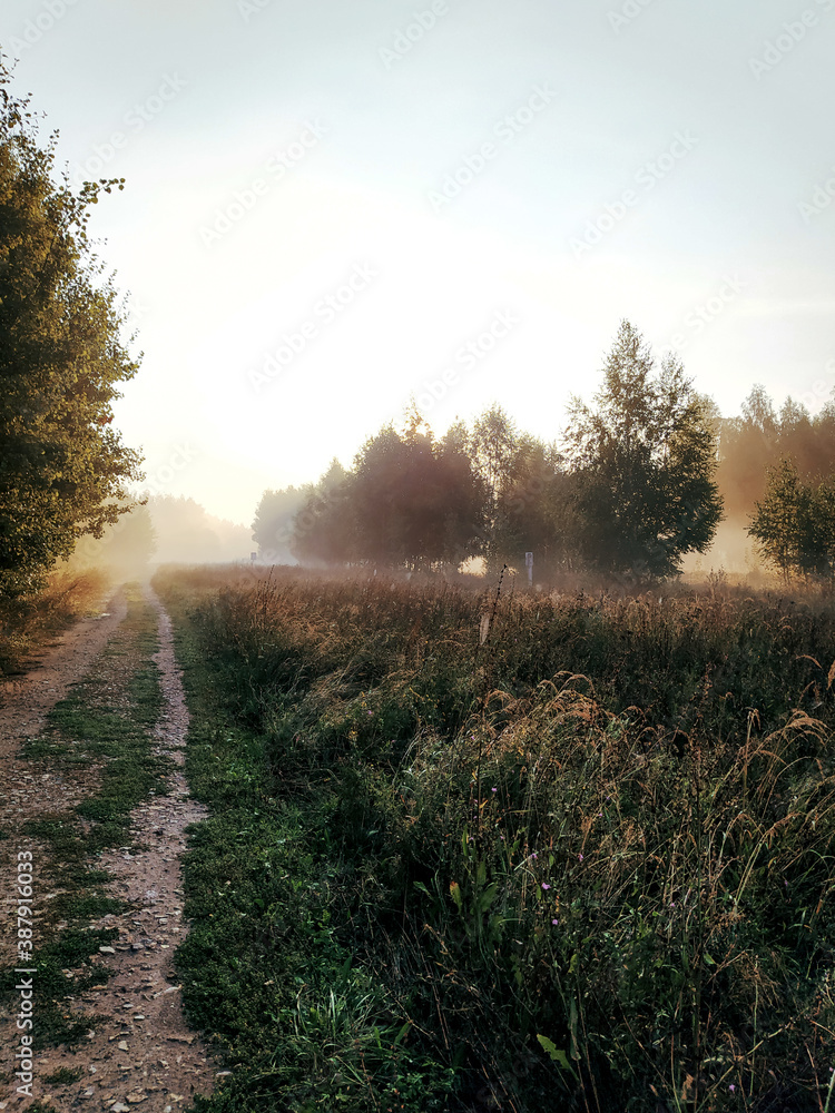 morning in the fog morning in the fog