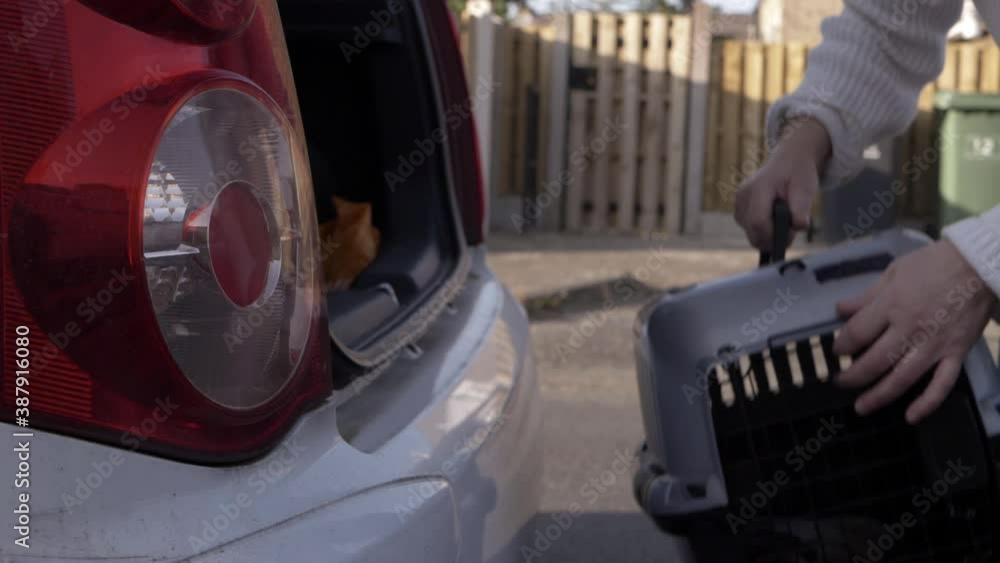 Hands taking pet carrier out of car boot medium shot