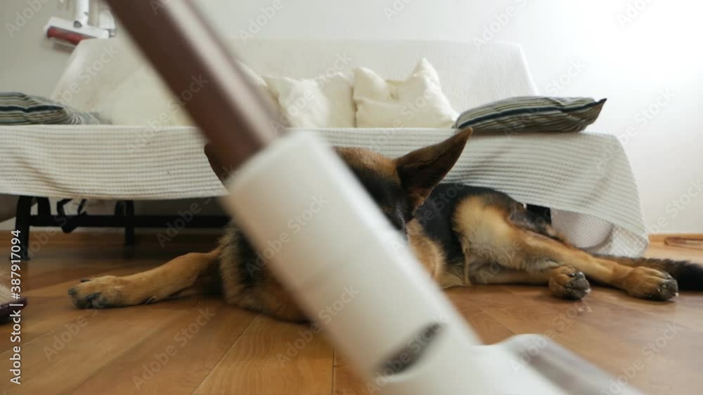 The girl cleans up with a vacuum cleaner, next to her is a German