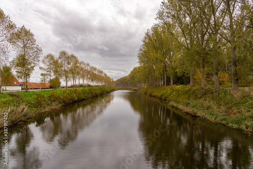 tree along the river