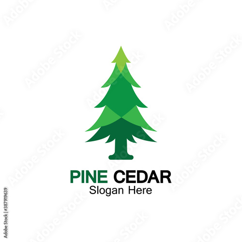 Cedar tree logo template vector icon design