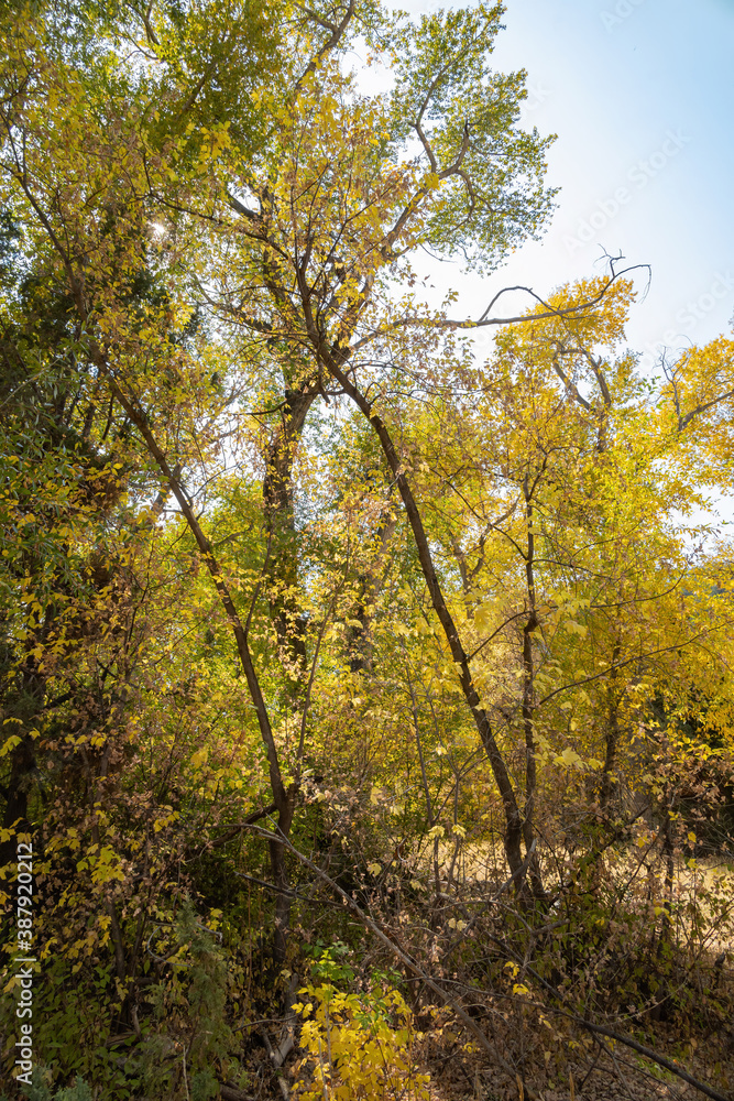 Sunny view of beautiful fall color around Parowan Canyon Sunny view of beautiful fall color around Parowan Canyon