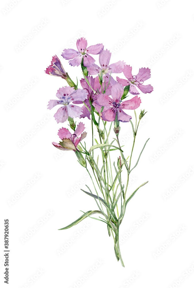 Naklejka premium A watercolor small bouquet of pink wildflowers on white background