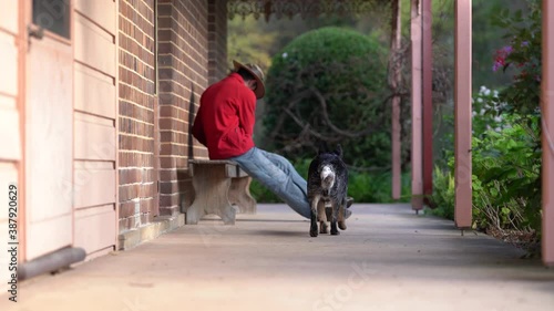 A man and a blue heeler puppy are sitting at a porch. photo