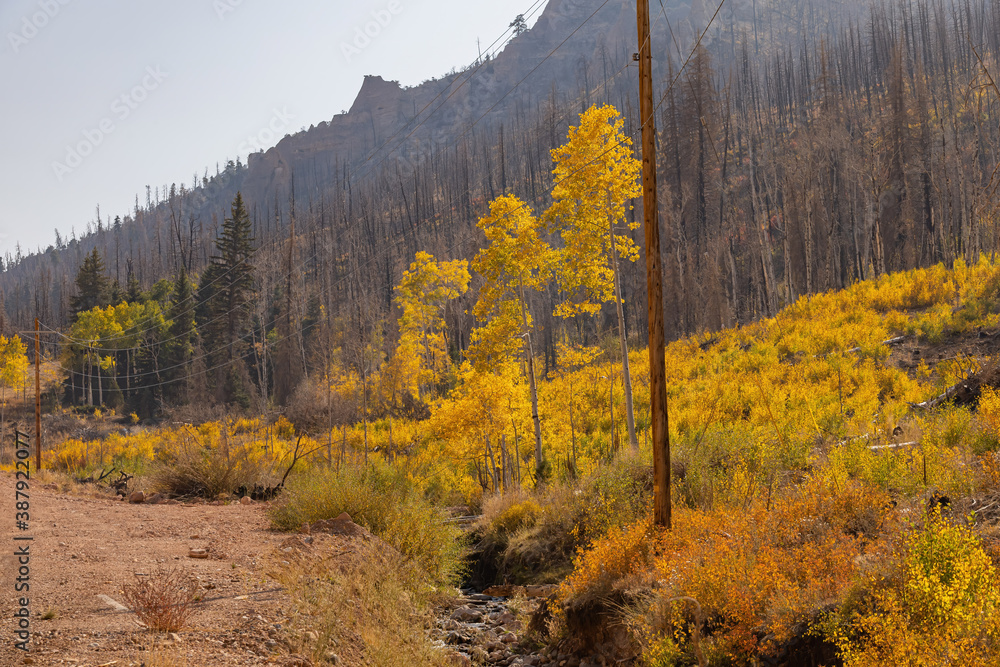 Sunny view of beautiful fall color around Parowan Canyon Sunny view of beautiful fall color around Parowan Canyon