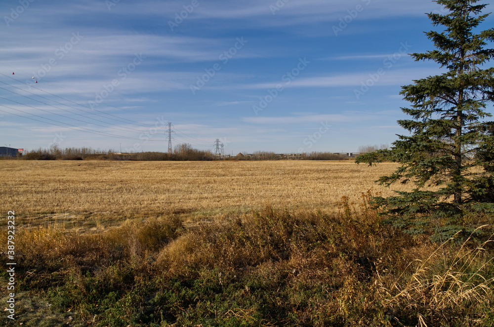 A Plowed Wheat Field in Autumn