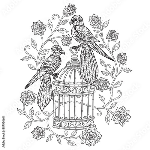 Birds with cage. Hand drawn sketch illustration for adult coloring book