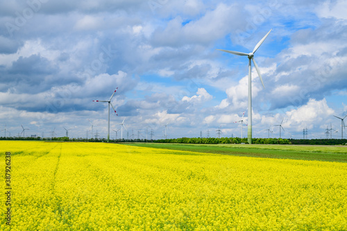 Wind Power Plant near a rape field in Parndorf, Burgenland, Austria photo